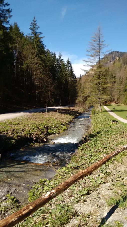Hotel Schwaigeralm Kreuth Zewnętrze zdjęcie